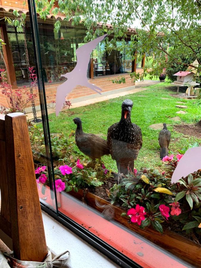 Aconchegante Casa Em Monte Verde Monte Verde  Dış mekan fotoğraf